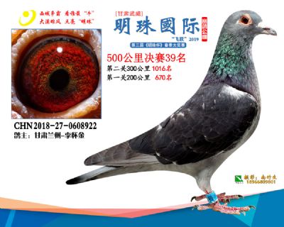 2019武威明珠39