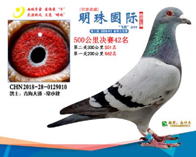 2019武威明珠42