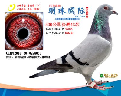 2019武威明珠43