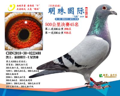 2019武威明珠45