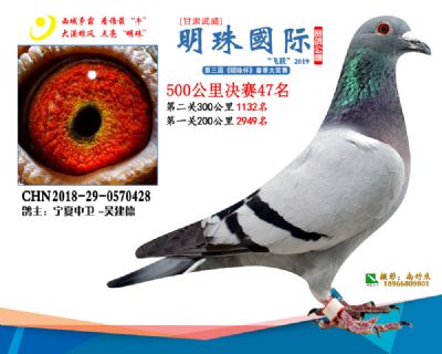 2019武威明珠47