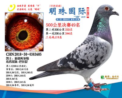 2019武威明珠49
