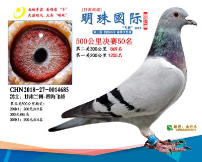 2019武威明珠50