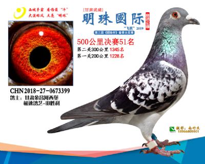 2019武威明珠51