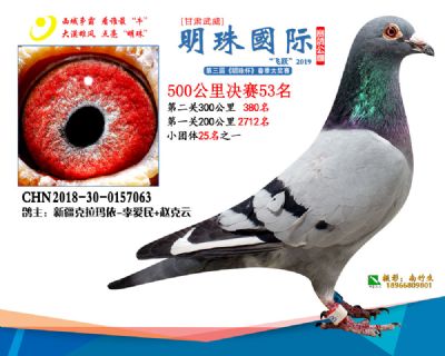 2019武威明珠53