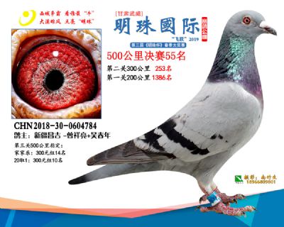 2019武威明珠55