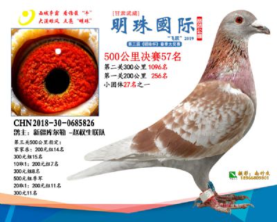 2019武威明珠57