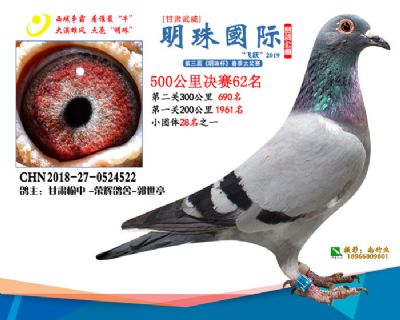 2019武威明珠62