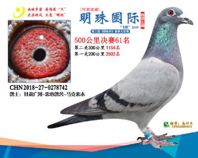 2019武威明珠61
