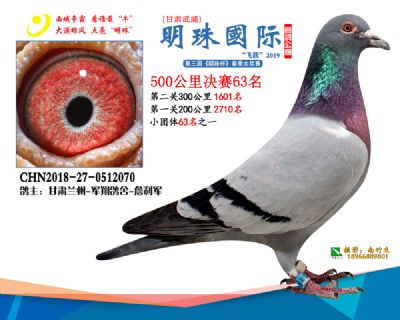 2019武威明珠63