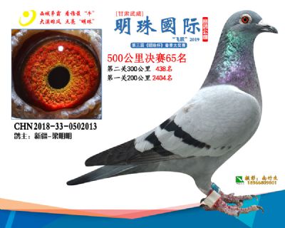2019武威明珠65