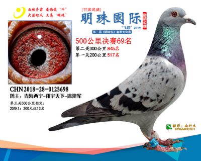 2019武威明珠69