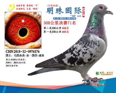 2019武威明珠71