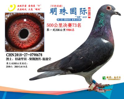 2019武威明珠73