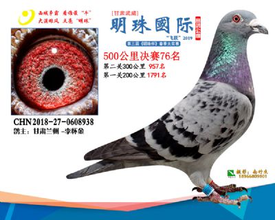 2019武威明珠76