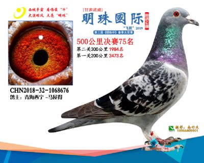 2019武威明珠75