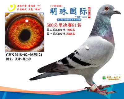 2019武威明珠81
