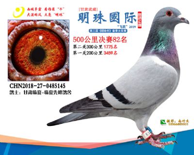 2019武威明珠82