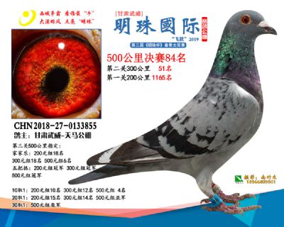 2019武威明珠84