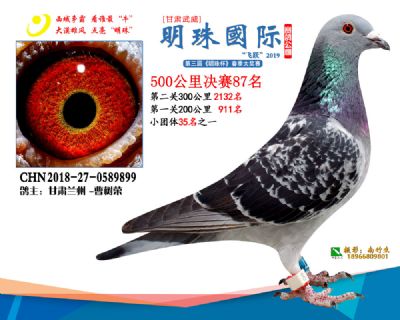 2019武威明珠87
