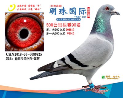 2019武威明珠90