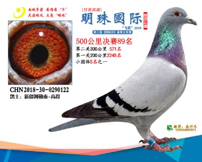2019武威明珠89