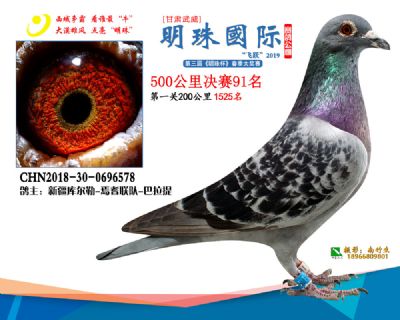 2019武威明珠91