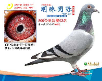 2019武威明珠93