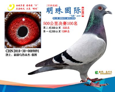 2019武威明珠100