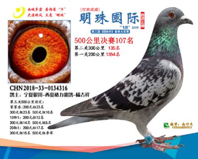2019武威明珠107