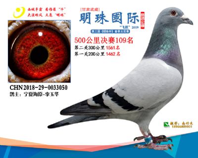 2019武威明珠109