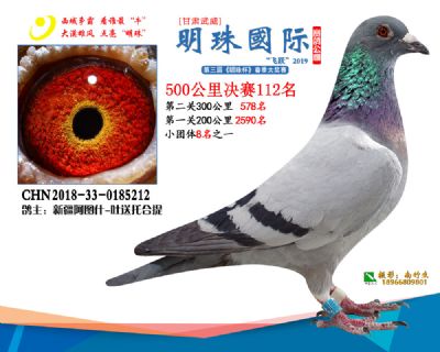 2019武威明珠112