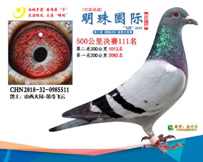 2019武威明珠111