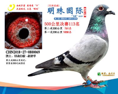 2019武威明珠113