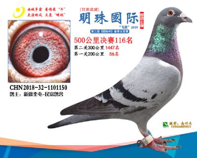 2019武威明珠116