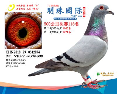 2019武威明珠118