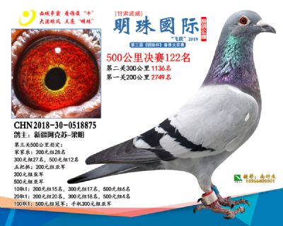 2019武威明珠122