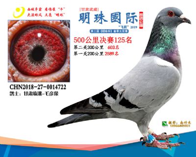 2019武威明珠125