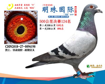 2019武威明珠124