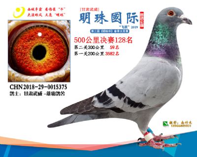 2019武威明珠128