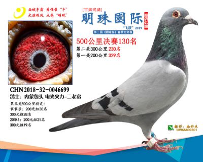 2019武威明珠130