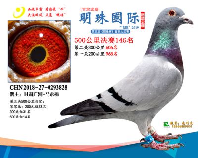 2019武威明珠146