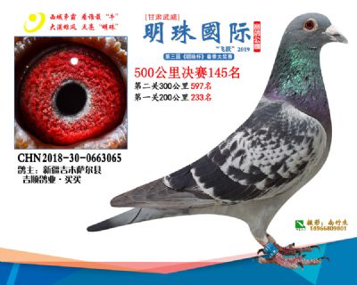 2019武威明珠145
