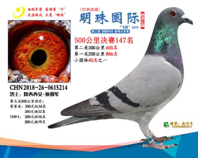 2019武威明珠147