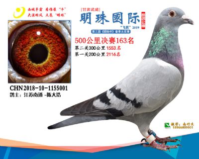 2019武威明珠163