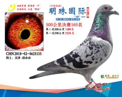 2019武威明珠165