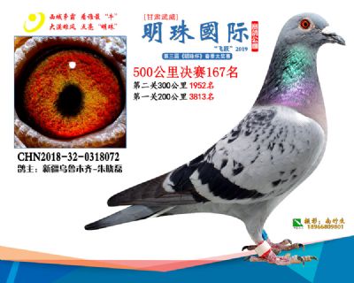 2019武威明珠167