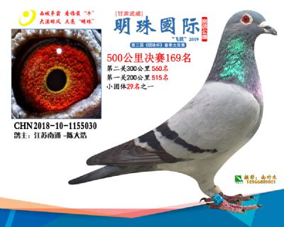 2019武威明珠169