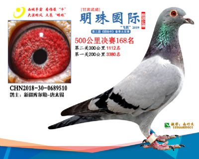 2019武威明珠168