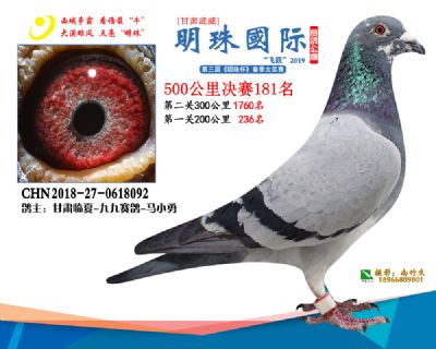 2019武威明珠181
